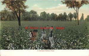 313525-Black Americana, ANC No 93102, Workers Picking Cotton in Georgia