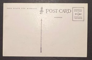 Mint USA Postcard Native American Indian Chief Wolf Robe Portrait