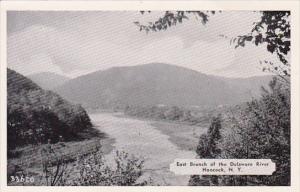 New York Hancock East Branch Of The Delware River