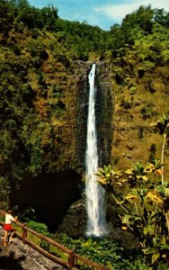 Hawaii Hilo Akana Falls