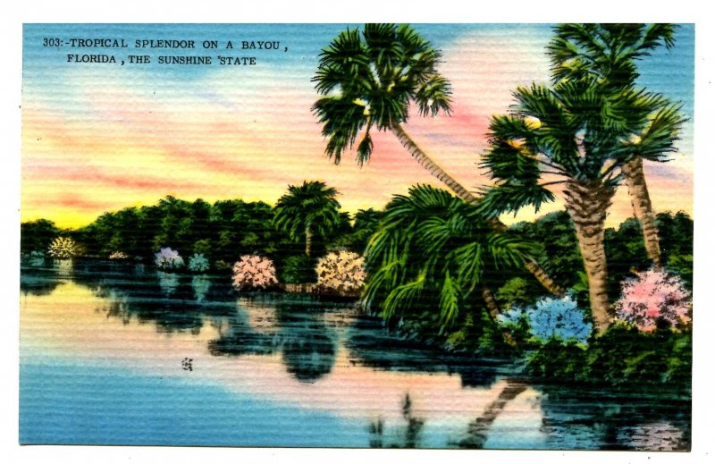 FL - Tropical Splendor on a Bayou