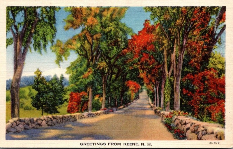 New Hampshire Greetings From Keene Curteich