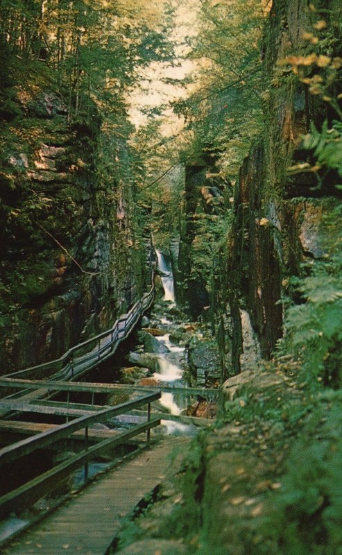 Vintage Postcard The Flume Gorge This Chasm Mountain Franconia New Hampshire NH