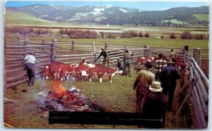 Postcard - Ranch Cow Farmers Landscape Scenery - New Mexico