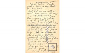 Florida Orange Groves