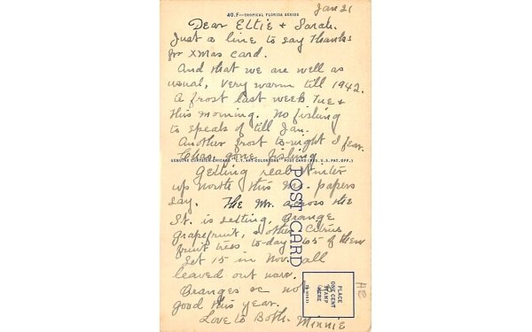 Florida Orange Groves