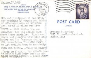 African Giraffe Giraffe 1959 