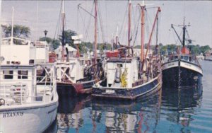 Massachusetts Cape Cod Commercial Fishing Fleet At Hyannis Harbor