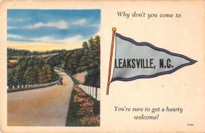 Leaksville North Carolina Greetings Roadway Scenic View Antique Postcard J71590