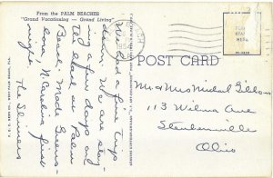 Beautiful Royal Palm Way Palm Beach Florida