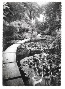 France Sevres Japanese Garden Language School CIEP Glossy RPPC Postcard 4X6