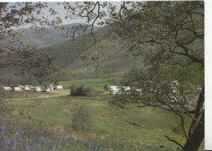 Camping Postcard - Showing Caravan Sites - Ref TZ8534