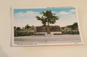 VINTAGE UNUSED POSTCARD PAN AMERICAN FRATERNITY TREE HAVANA CUBA