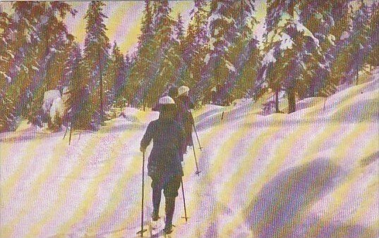 Skiers On Ski Trail