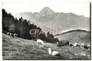 Old Postcard Vallee Aure Col d'Aspin View of the Pic du Midi de Bigorre