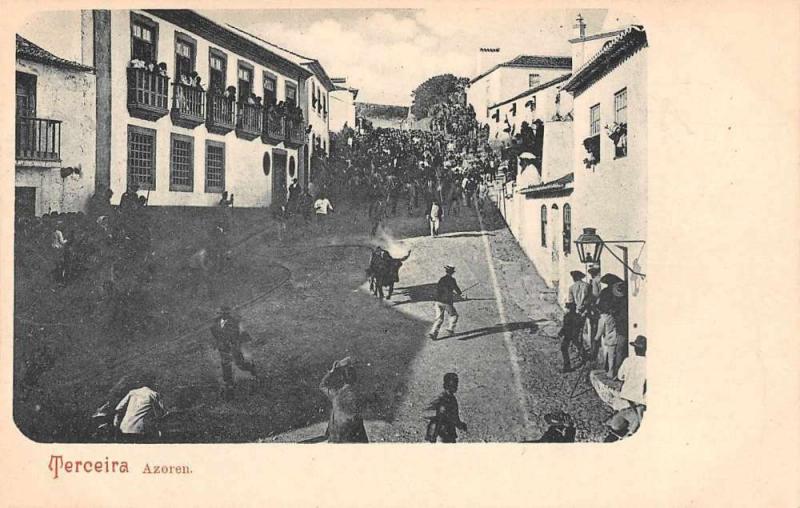 Azoren Portugal Bulls Runnging through the Streets  Antique Postcard L2772