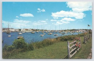 Transportation~Boats @ Falmouth Harbor Cape Cod MA~Poisson Photo~Chrome Postcard