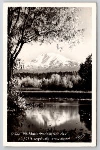 Mt Adams Washington  Perpetually Snowcapped RPPC Postcard A31