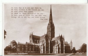 Wiltshire Postcard - Salisbury Cathedral - Real Photograph  ZZ2144