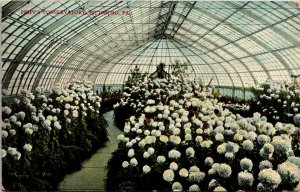 Postcard PA Pittsburgh Phipp's Conservatory Greenhouse - Flowers - 1909 M1