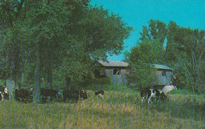 Covered Bridge A Typical Village Old Covered Bridge Is A Feature Of North Fer...