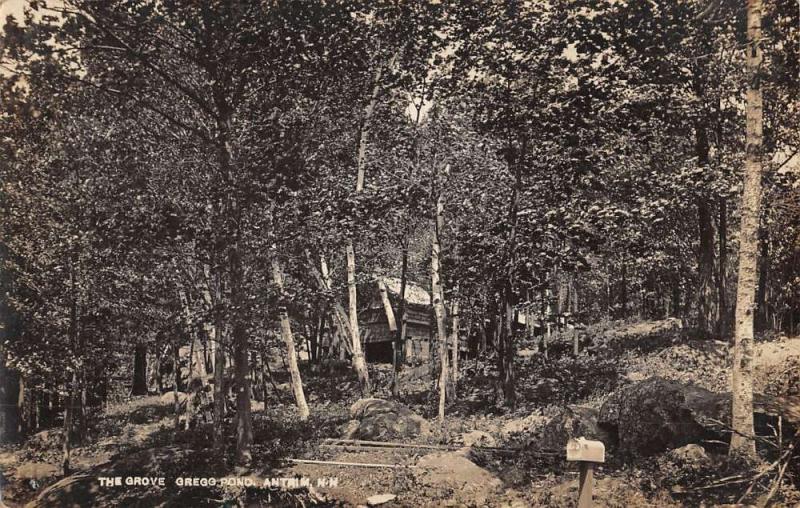 Antrim New Hampshire The Grove Scenic Real Photo Antique Postcard K22534