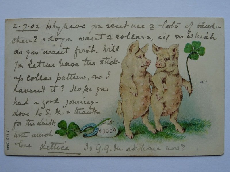 Greetings LUCKY PIG, 4 Leaf Clover & Horseshoe 60000 c1902 Postcard by MSB 12949