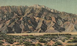 Vintage The Angel on Mt. San Jacinto, CA. Postcard P132