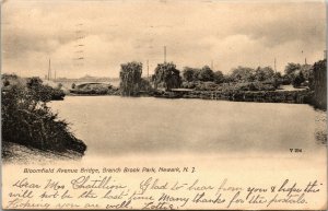 1909 Newark New Jersey NJ Branch Brook Park Bloomfield Ave Bridge Postcard 