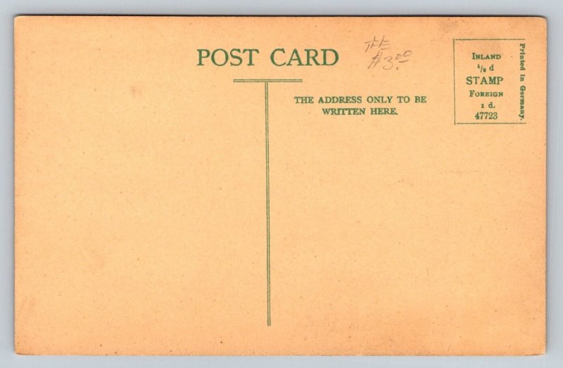 English Writer  Samuel Taylor Coleridge  Postcard