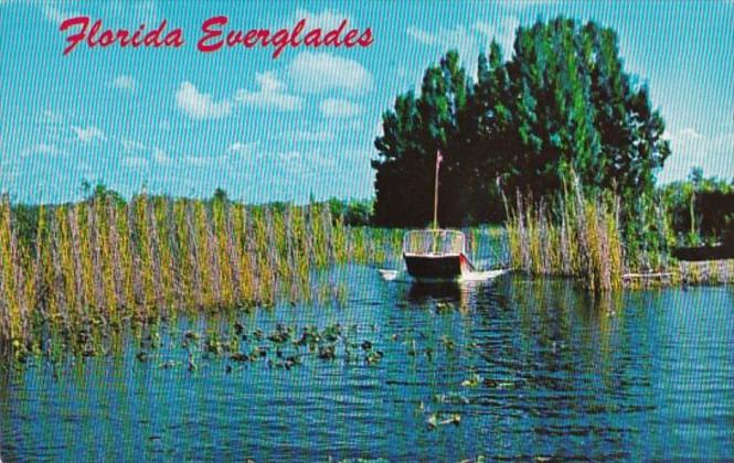 Florida Air Boat Ride In The Everglades