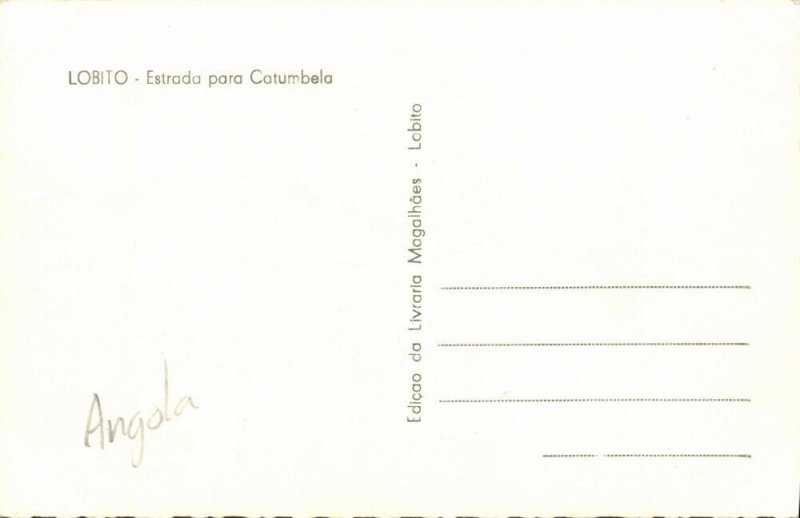 angola, LOBITO, Estrada para Cotumbela, Palm Trees (1960s) Postcard