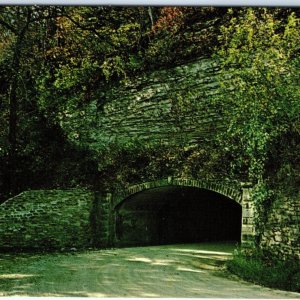 c1950s Winterset, IA Pammel State Park Tunnel Chrome Photo Clee R. Crawford A146