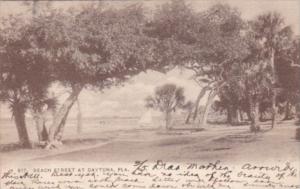 Beach Street At Daytona Florida 1906