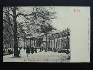 Derbyshire BUXTON The Promenade at Pavilion Gardens c1903 UB Postcard by Stengel