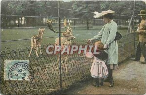 Old Postcard Lyon deer park