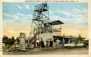 MA - Berkshires. Jacob's Ladder Trail, Observation Tower at Summit