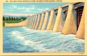Oregon Columbia River Highway Bonneville Dam Spillway Gate Curteich