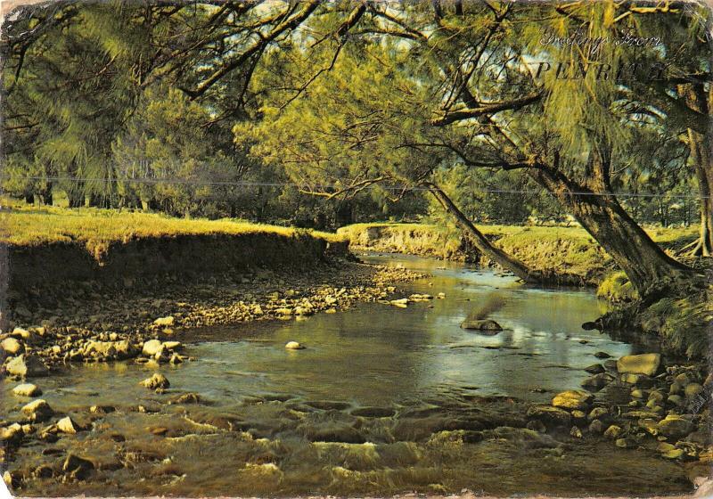 BR101962 countryside   australia