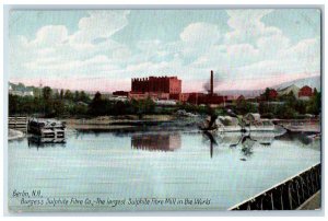 c1910 Burgees Sulphite Fibre Co Sulphite Mill Berlin New Hampshire NH Postcard