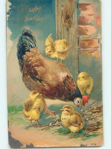 Edge Wear Pre-Linen easter CHICKS STANDS ON BACK OF MOTHER HEN CHICKEN hr2562