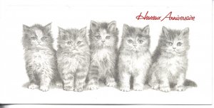 Five kitten Modern French double Birthday Greetings PC. Size 10,5 x 20.5 cms.