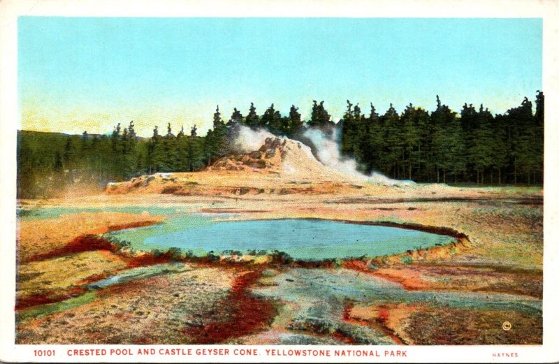 Yellowstone National Park Crested Pool and Castle Geyser Cone Haynes Photo