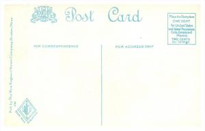 Massachusetts Plymouth   Rock