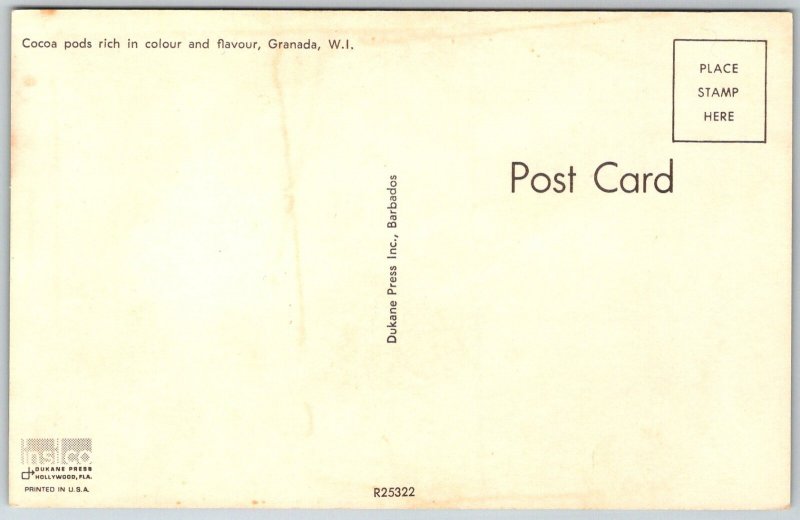Granada West Indies 1960s Postcard Cocoa Pods