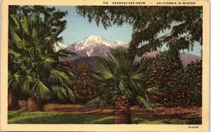 1930s CALIFORNIA IN WINTER ORANGE TREES WITH SNOW LINEN POSTCARD 42-181