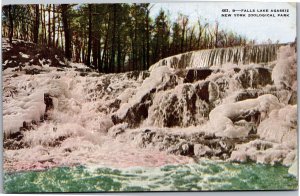 Postcard NY New York Zoological Park Falls Lake Agassiz