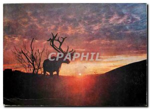 Postcard Modern Lappi Lapland Finland