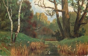 Landscape with ducks Germany early postcard