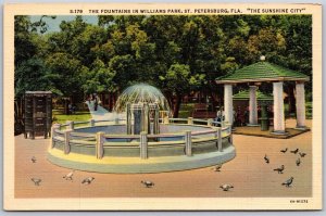 Vtg St Petersburg Florida Fountains At Williams Park Pigeons 1930s View Postcard